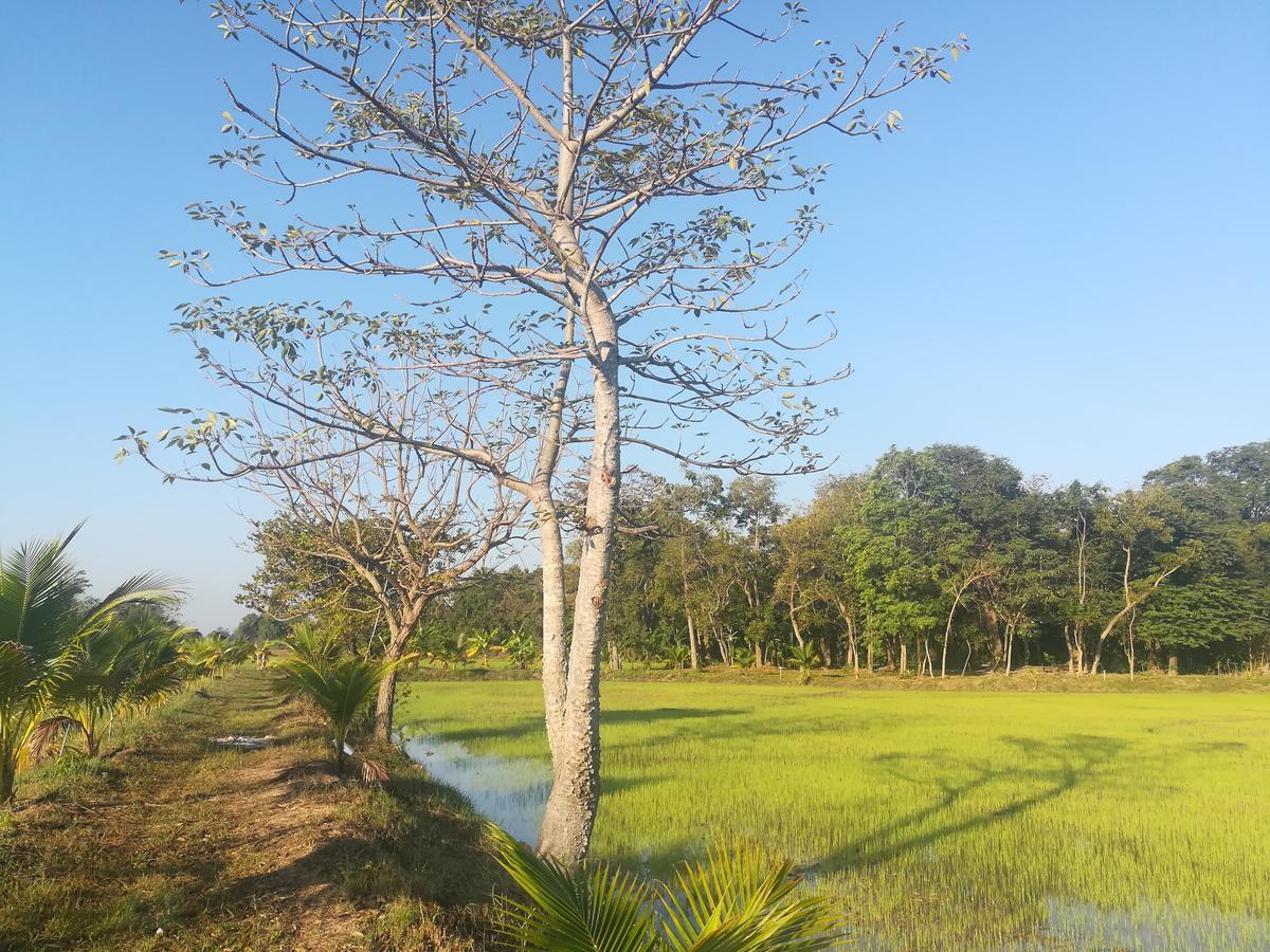 Ban Nong Chum Saeng Bn Resort المظهر الخارجي الصورة